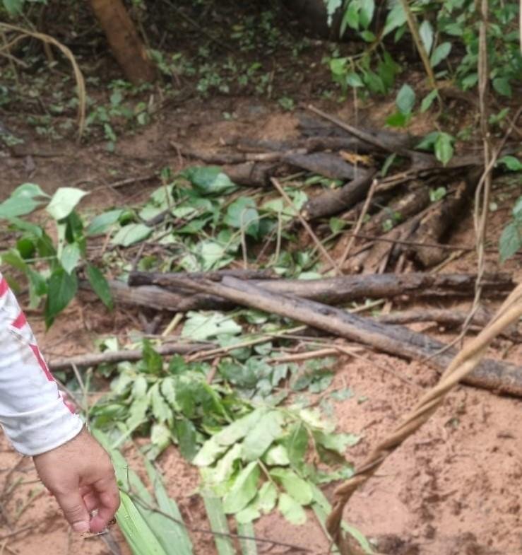 WhatsApp-Image-2025-02-12-at-10.39.31 Corpos Encontrados em Rondonópolis na Vila Goulart Podem Ser Vítimas de Facção Criminosa