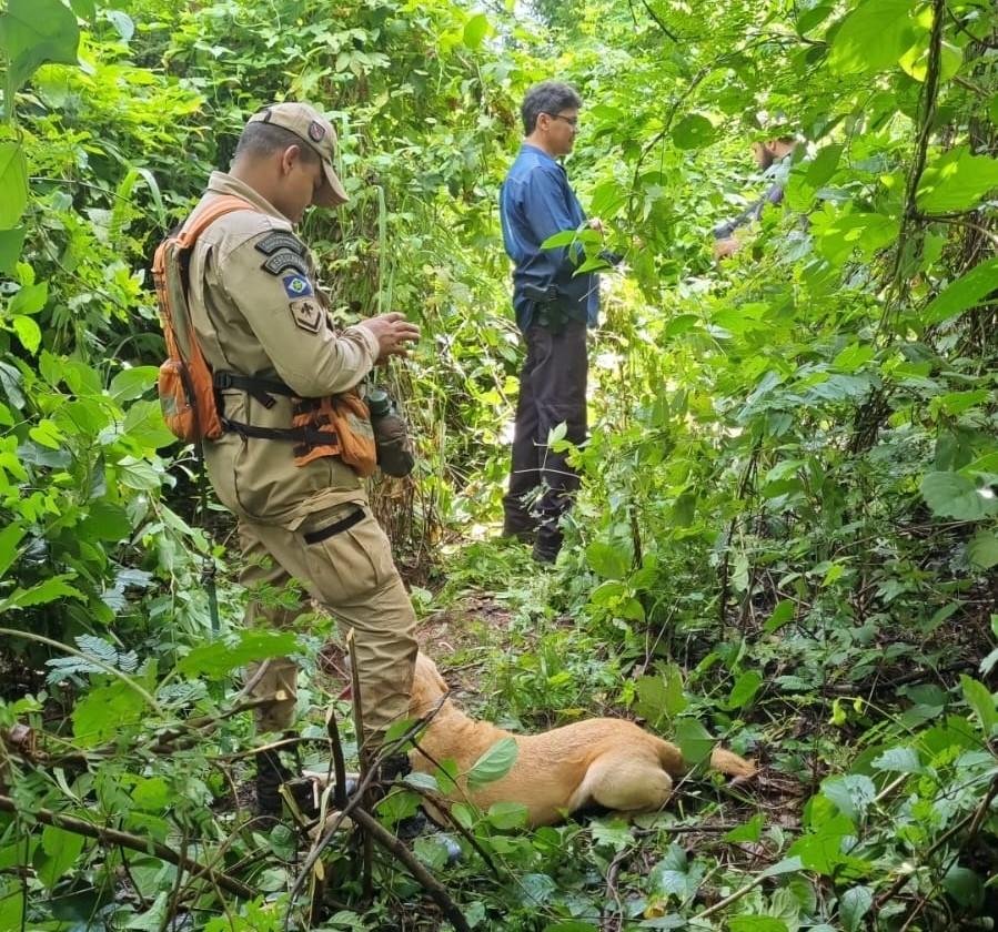 WhatsApp-Image-2025-02-12-at-10.42.41-1 Corpos Encontrados em Rondonópolis na Vila Goulart Podem Ser Vítimas de Facção Criminosa