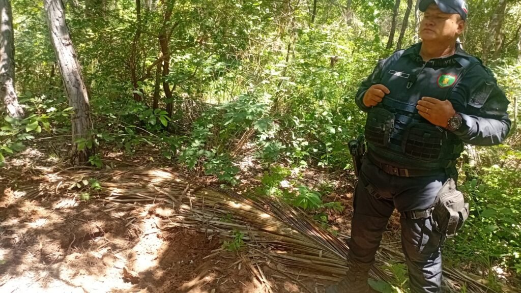 1000386268-1024x576 Mais duas ossadas humanas localizadas em área de mata em Várzea Grande