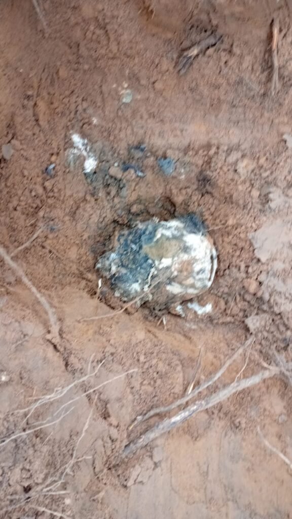 WhatsApp-Image-2025-03-12-at-11.58.34-576x1024 Descoberta Macabra no Pirineu: Ossadas Humanas Encontradas em Covas