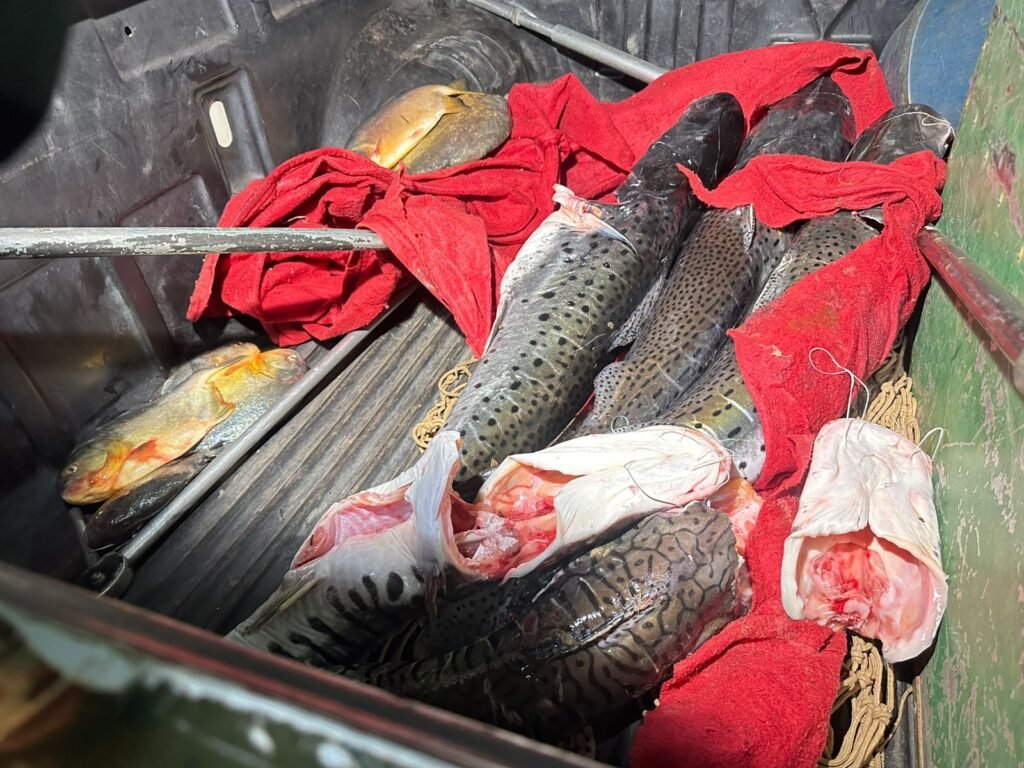WhatsApp-Image-2025-05-08-at-01.50.44-1024x768 Homem é Preso por Transporte Ilegal de Pescado em Santo Antônio de Leverger