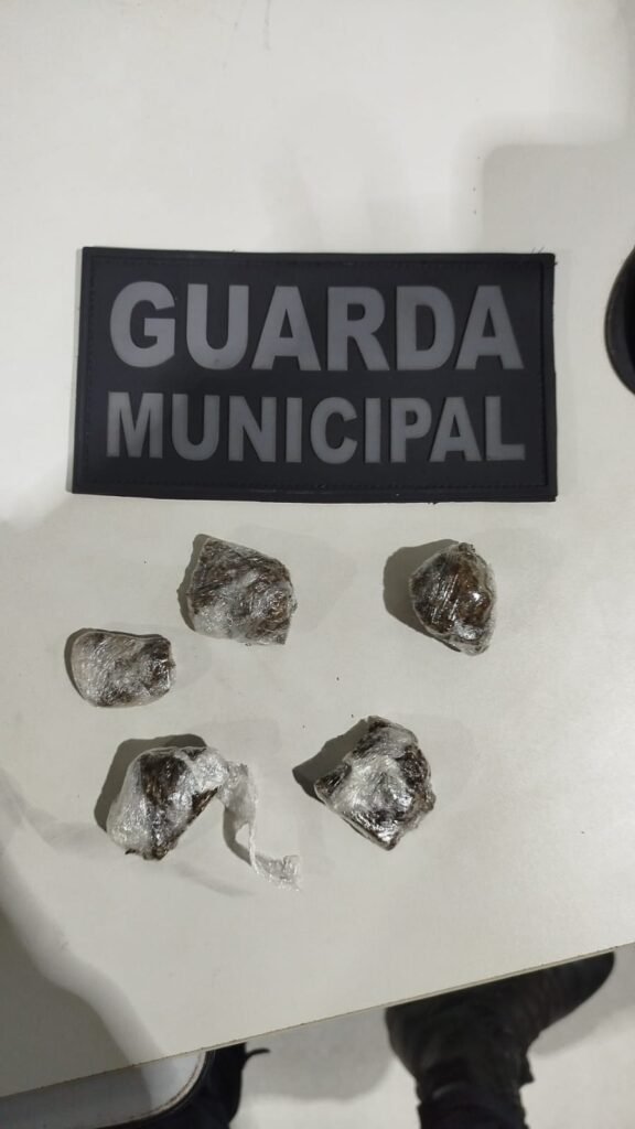 WhatsApp-Image-2025-07-08-at-20.47.45-576x1024 Homem é flagrado com porções de maconha dentro de parque fechado em VG