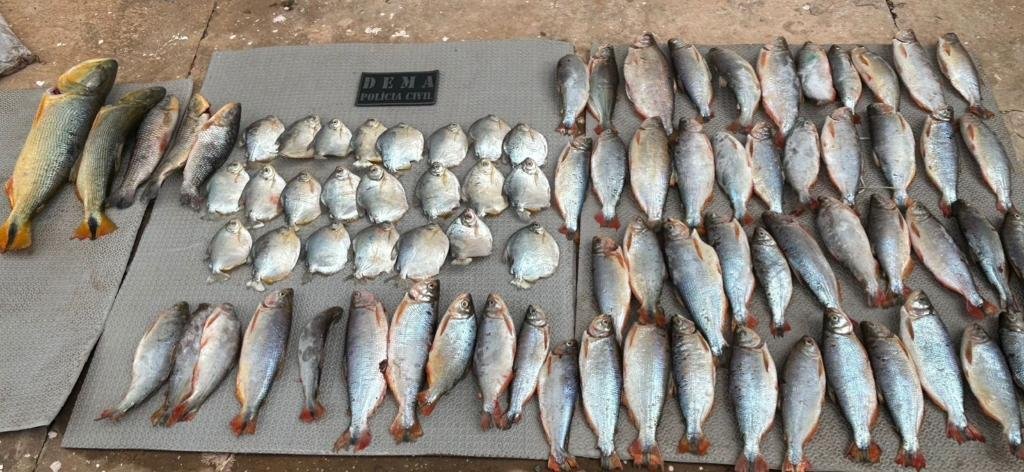 Lei-do-Transporte-Zero-1 Apreensão de pescado pela Dema cresce 570% nos primeiros seis meses de 2025 em Mato Grosso