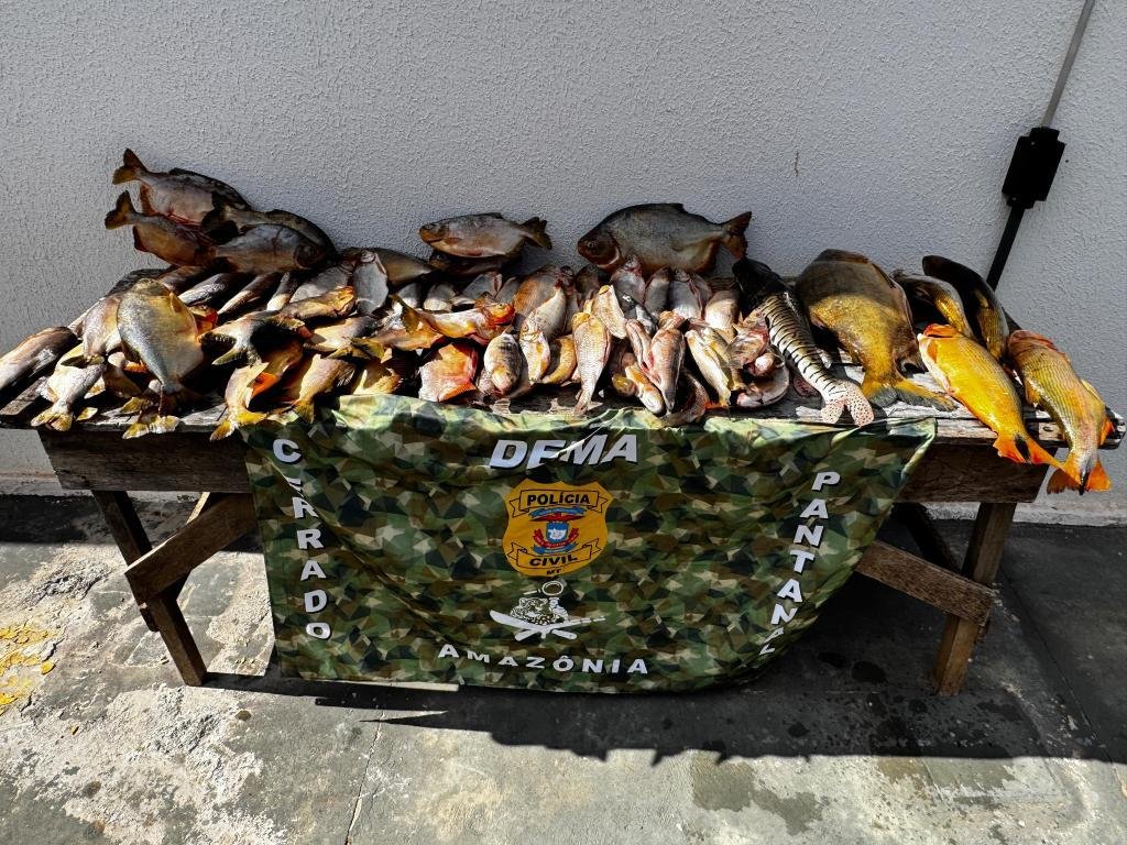 Lei-do-Transporte-Zero Apreensão de pescado pela Dema cresce 570% nos primeiros seis meses de 2025 em Mato Grosso