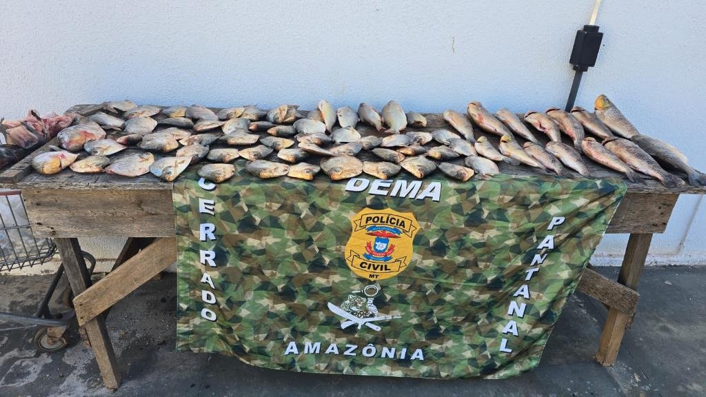 WhatsApp-Image-2025-07-24-at-16.09.10 Apreensão de pescado pela Dema cresce 570% nos primeiros seis meses de 2025 em Mato Grosso