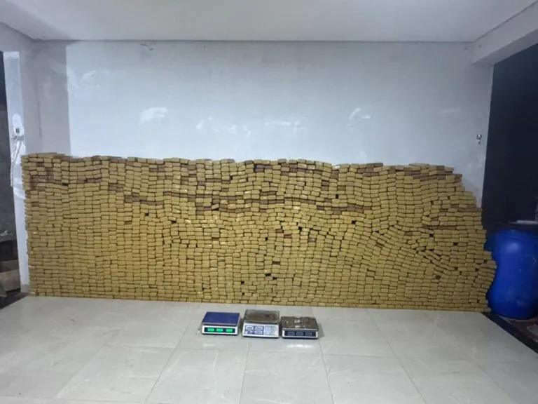 1000621130 Polícia Civil desmantela esquema e apreende 2 mil tabletes de maconha enterrados em chácara de Cuiabá