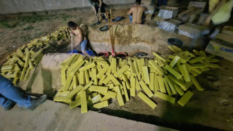 1000621132 Polícia Civil desmantela esquema e apreende 2 mil tabletes de maconha enterrados em chácara de Cuiabá