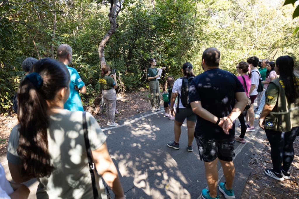 Trilha Trilha no Parque Mãe Bonifácia aproxima população da flora nativa de Mato Grosso