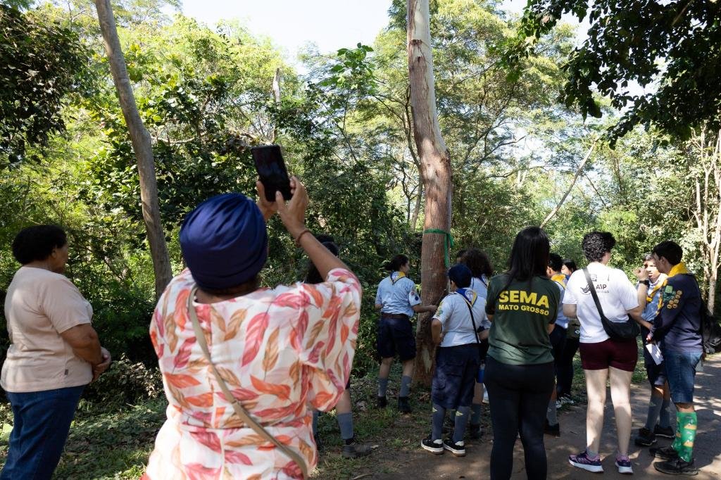 Trilha2 Trilha no Parque Mãe Bonifácia aproxima população da flora nativa de Mato Grosso